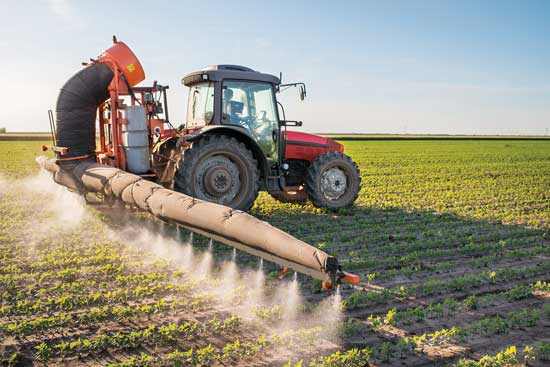 2 States Ban Dicamba Herbicide